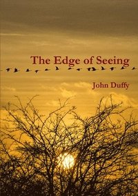 bokomslag The Edge of Seeing