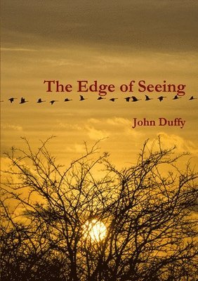 John Duffy - Edge of Seeing, Häftad