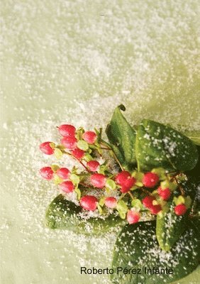 Roberto Pérez Infante - 667, Häftad