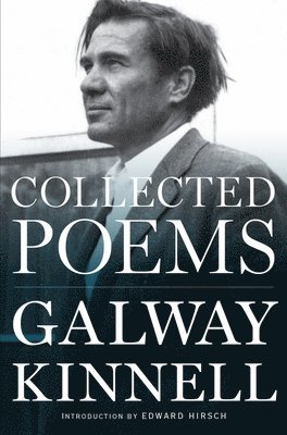 Collected Poems 1