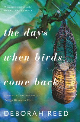 Days When Birds Come Back 1