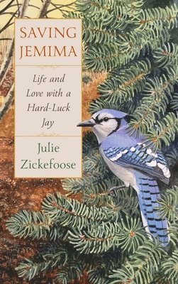 Saving Jemima: Life and Love with a Hard-Luck Jay 1