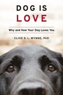 Dog Is Love 1