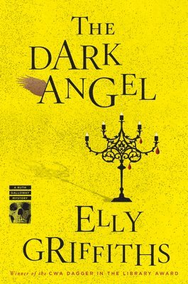 bokomslag The Dark Angel