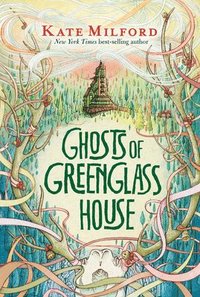 bokomslag Ghosts Of Greenglass House