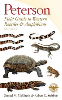 bokomslag Peterson Field Guide to Western Reptiles & Amphibians, Fourth Edition