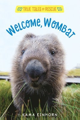 Kama Einhorn - Welcome, Wombat, Inbunden