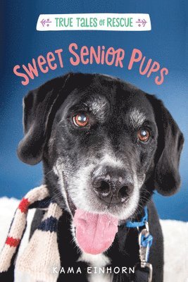 Sweet Senior Pups 1