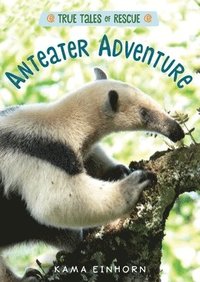 bokomslag Anteater Adventure