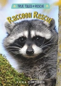 bokomslag Raccoon Rescue