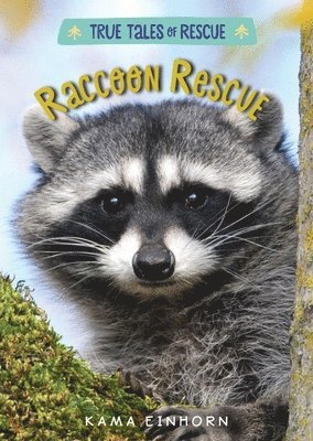 bokomslag Raccoon Rescue