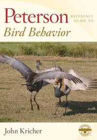 bokomslag Peterson Reference Guide To Bird Behavior