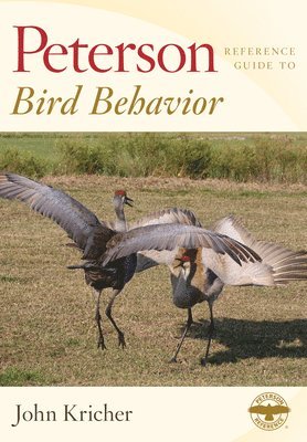 John Kricher - Peterson Reference Guide to Bird Behavior, Inbunden