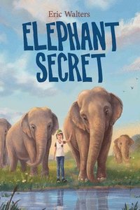 bokomslag Elephant Secret