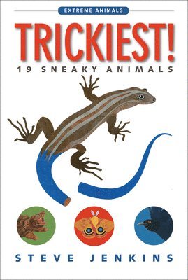 Steve Jenkins - Trickiest!, Häftad