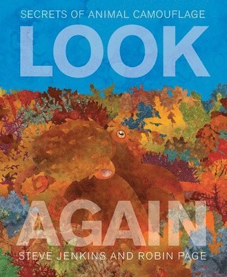 Look Again