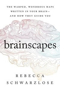 bokomslag Brainscapes