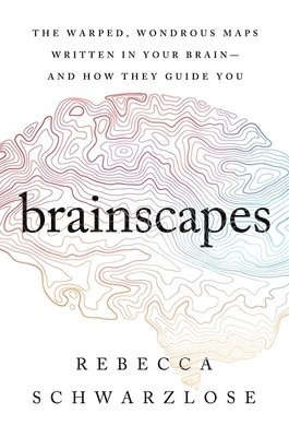 Brainscapes 1