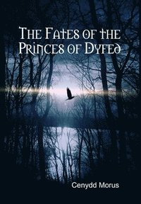 bokomslag Fates of the Princes of Dyfed