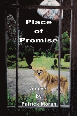 Patrick Moran - Place of Promise, Häftad