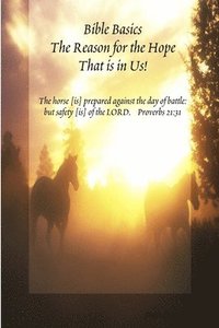 bokomslag Bible Basics - the Reason for the Hope That is in Us!