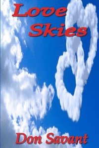 bokomslag Love Skies