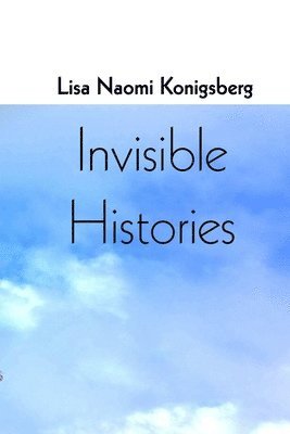 bokomslag Invisible Histories