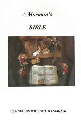 bokomslag Mormon's Bible
