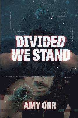 bokomslag Divided We Stand