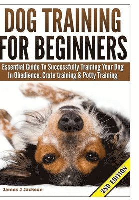 bokomslag Dog Training for Beginners