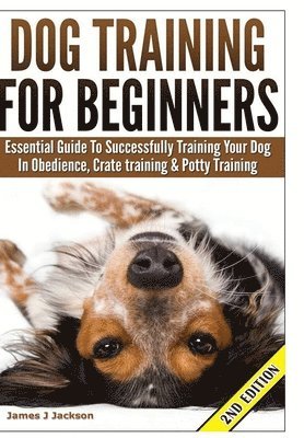 Dog Training for Beginners 1