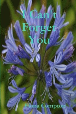 bokomslag I Can't Forget You
