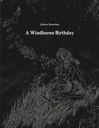 bokomslag A Windborne Birthday