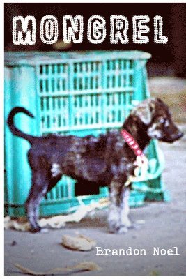 Mongrel