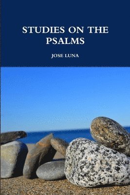 bokomslag Studies on the Psalms