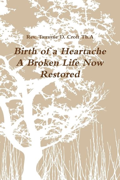 bokomslag Birth of a Heartache A Broken Life Now Restored