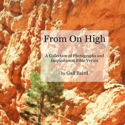 Gail Baird - From on High, Häftad