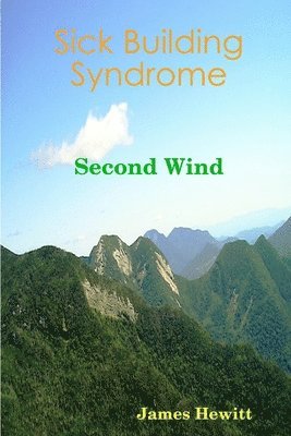 bokomslag Sick Building Syndrome: Second Wind