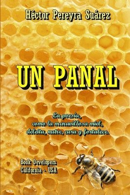 bokomslag Panal