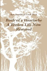 bokomslag Birth of a Heartache - A Broken Life Now Restored