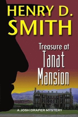 bokomslag Treasure at Tanat Mansion: A Josh Draper Mystery