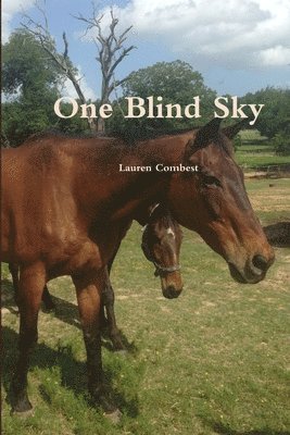 One Blind Sky 1