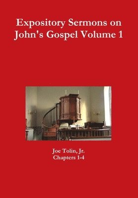 bokomslag Expository Sermons on John's Gospel Volume 1