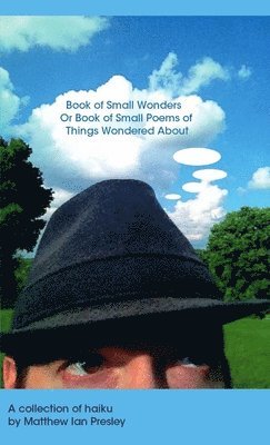 bokomslag Book of Small Wonders