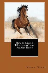 bokomslag How to Raise & Take Care of Your Arabian Horse