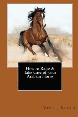 How to Raise & Take Care of Your Arabian Horse 1