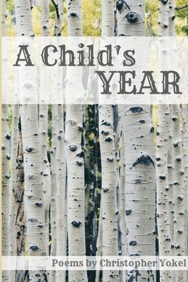 A Child's Year 1