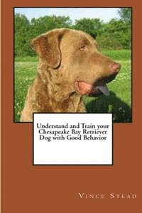 bokomslag Understand and Train Your Chesapeake Bay Retriever Dog with Good Behavior