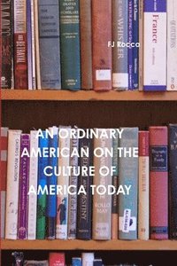 bokomslag Ordinary American on the Culture of Today's America