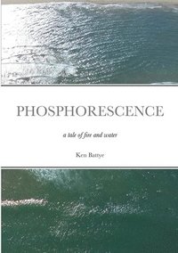 bokomslag Phosphorescence